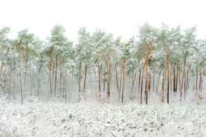3-piece-acrylic-print-snow-world