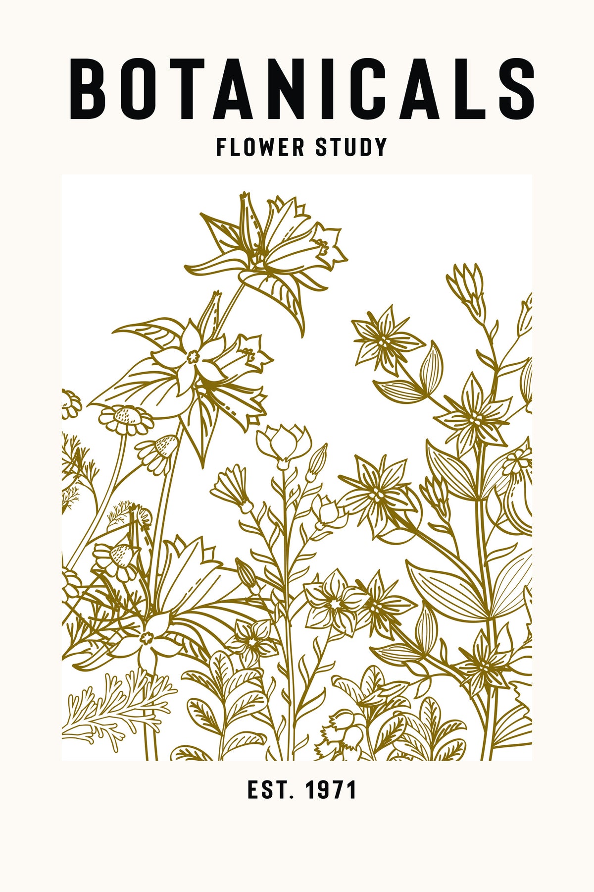 canvas-print-botanicals-flower-study-ii