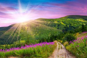 poster-print-a-summer-landscape-at-sunrise