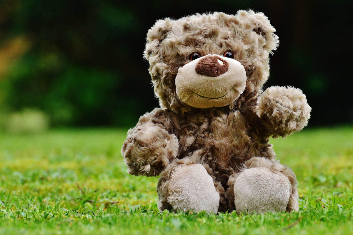 3-piece-acrylic-print-happy-teddy-bear