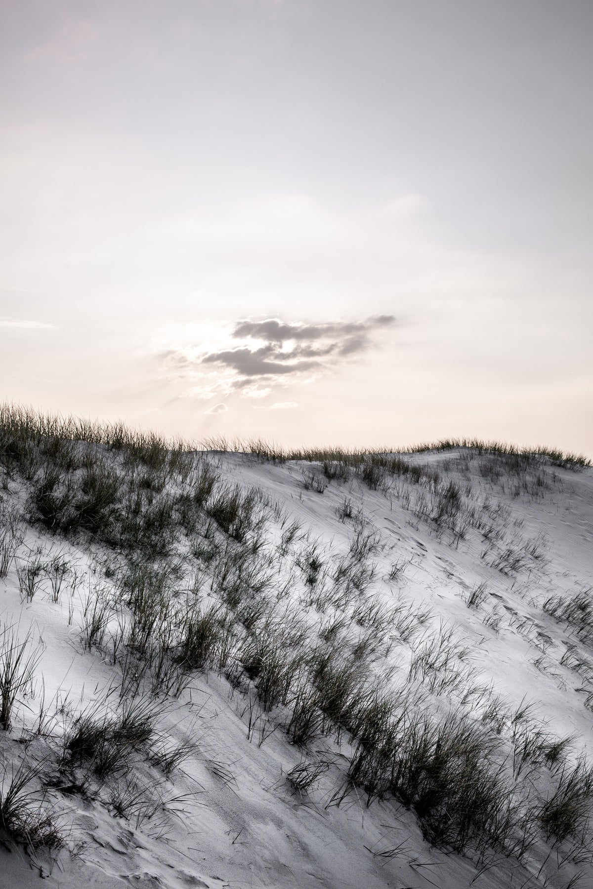 framedcanvas-print-at-the-coast