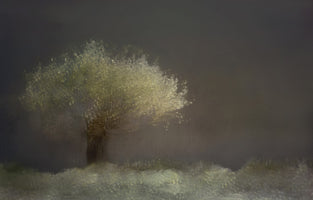 3-piece-canvas-print-willow-2