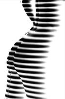 aluminium-print-zebra-2