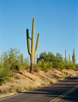 framedcanvas-print-saguaro-national-park-vi-on-film