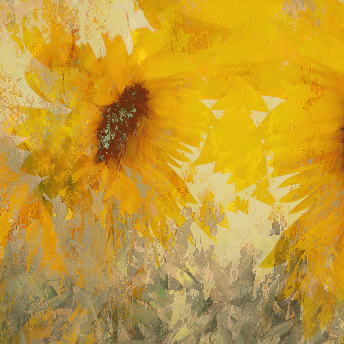 aluminium-print-sunflower