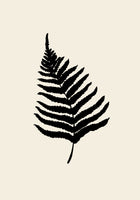 canvas-print-fern-2
