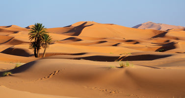 poster-print-morocco-sand-dunes-of-sahara-desert