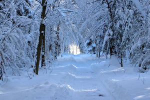 canvas-print-finally-winter