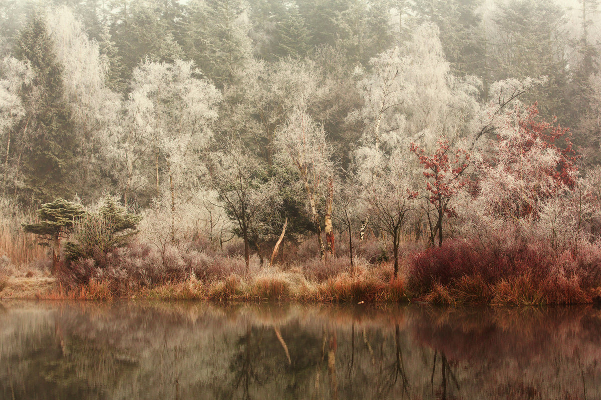 aluminium-print-frozen-x
