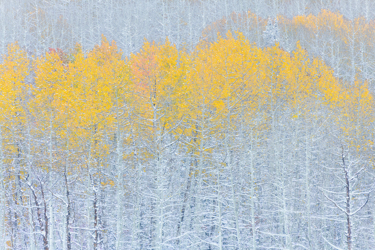 framedposter-print-autumn-aquarelle-after-snowstorm