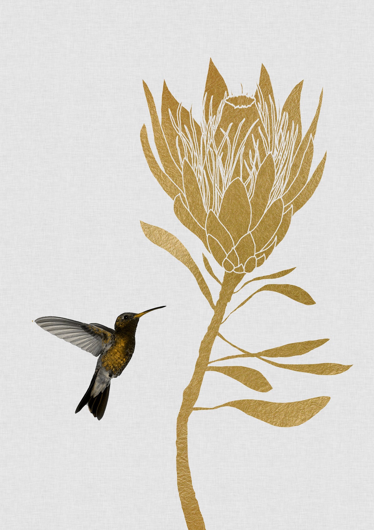 framedcanvas-print-hummingbird-flower-i