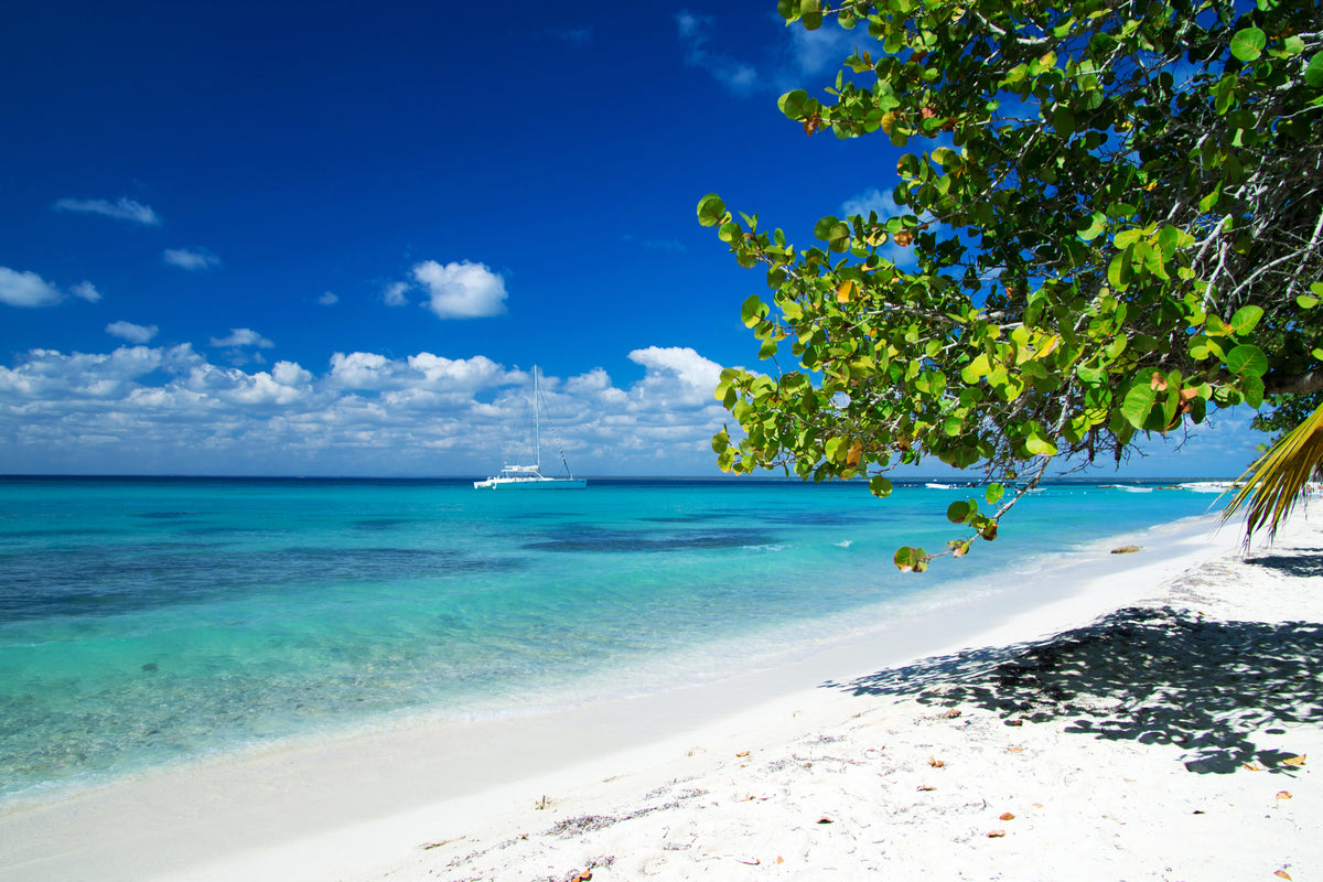 aluminium-print-happy-beach