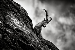 poster-print-mountain-top-acrobat