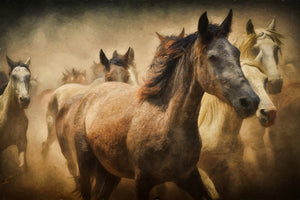 3-piece-acrylic-print-painting-wild-horses