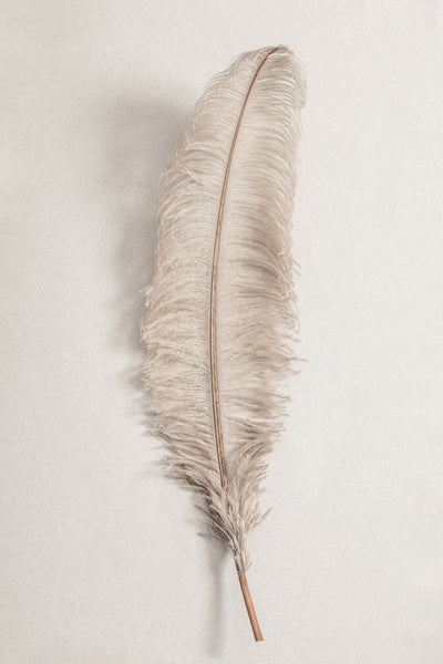 poster-print-feather-002