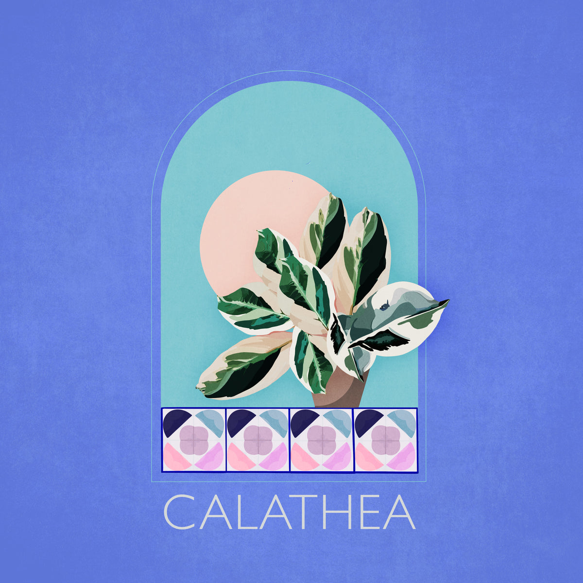 aluminium-print-green-sets-calathea