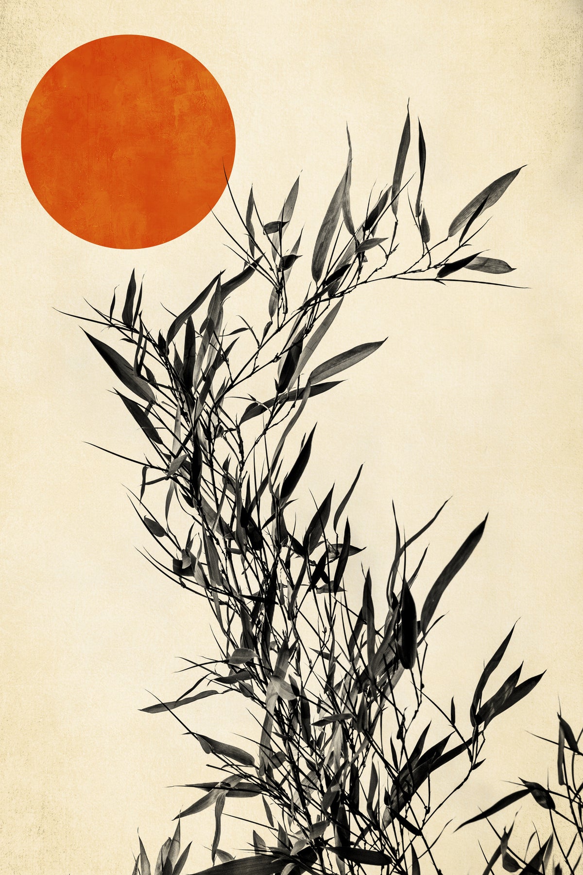 framedposter-print-japanese-birch