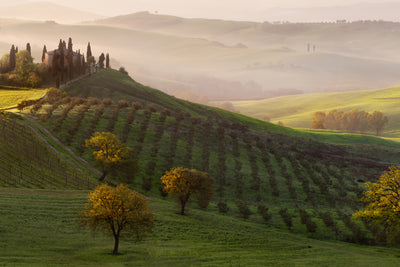 poster-print-tutte-le-strade-portano-a-belvedere