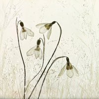9-piece-aluminium-print-springtime