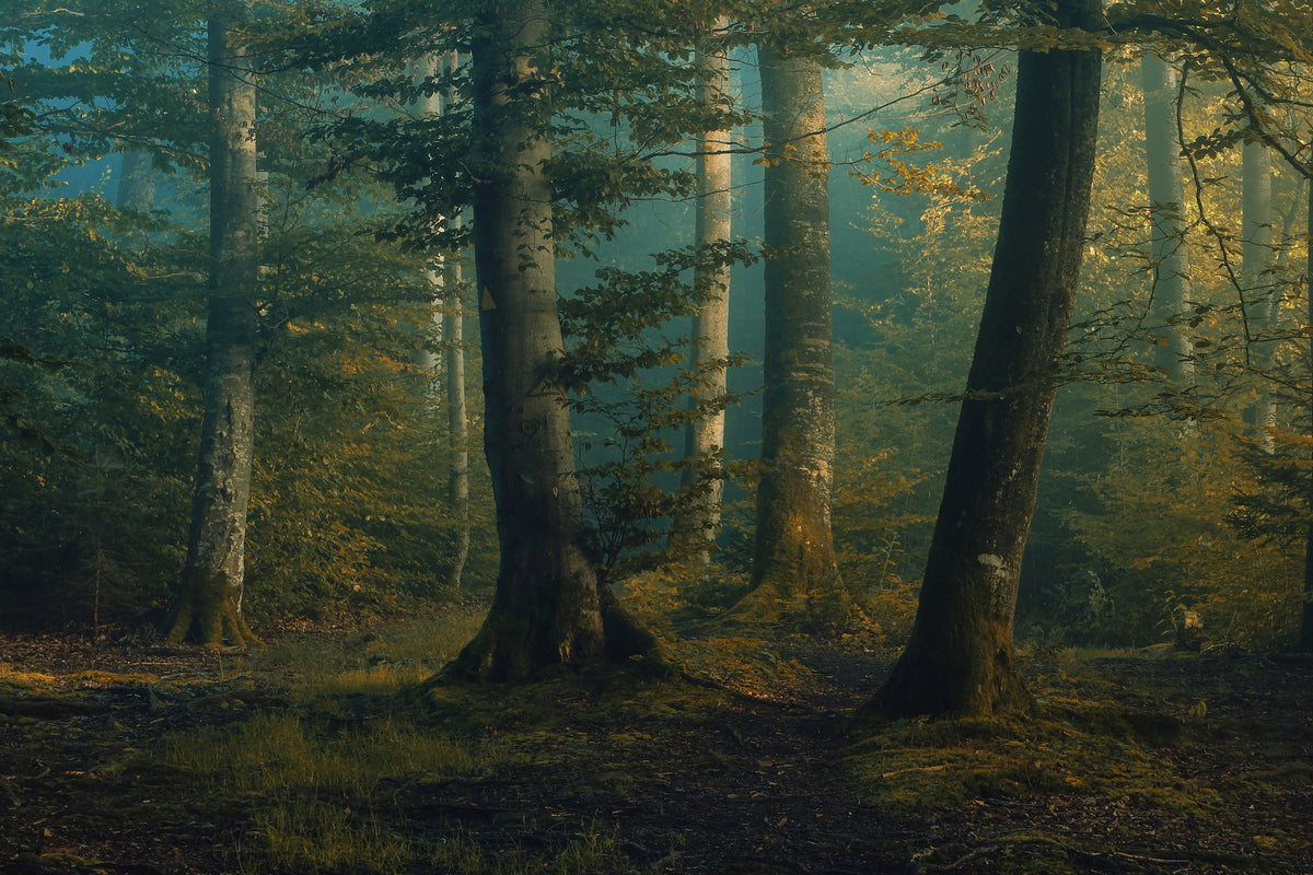 aluminium-print-october-colors-x