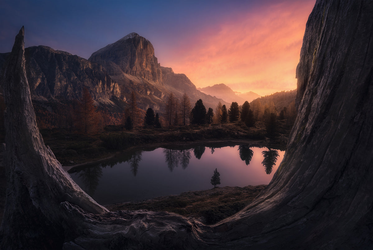framedcanvas-print-whispers-of-the-rooted-silence