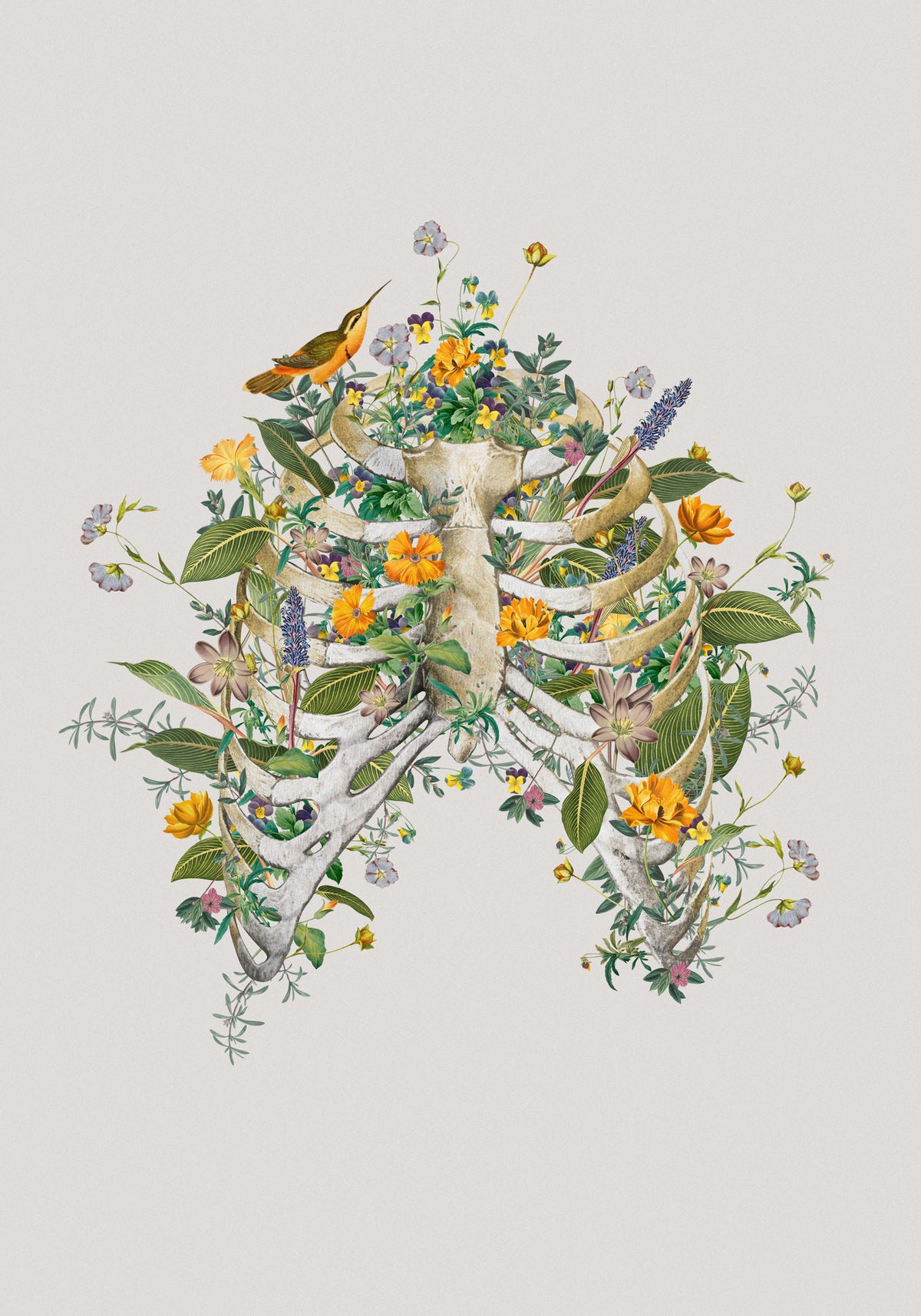 aluminium-print-floral-thorax