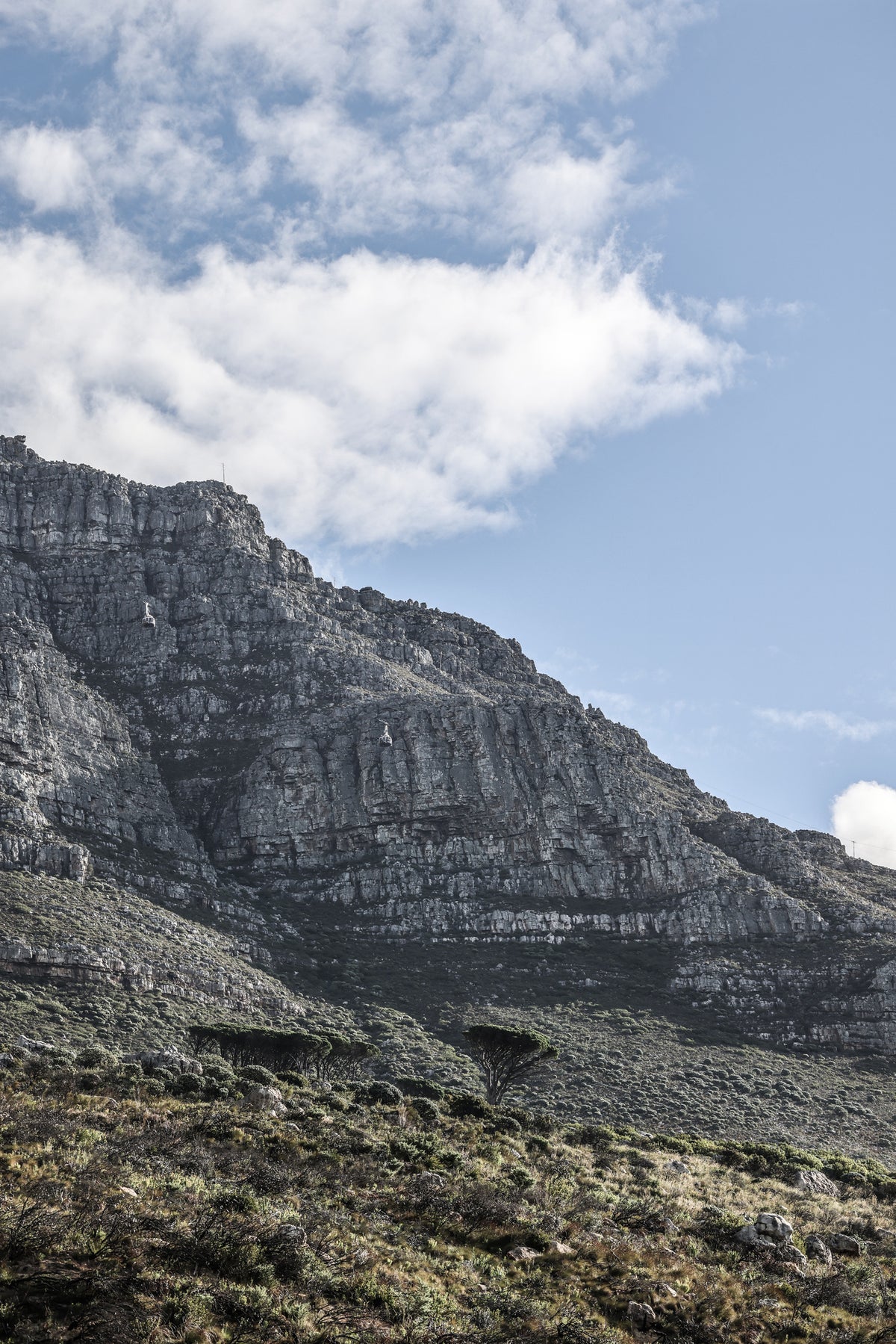 acrylic-print-table-mountain