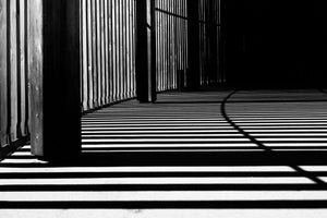 canvas-print-streaks-of-light