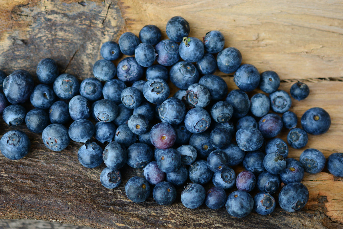 3-piece-canvas-print-fresh-blueberries