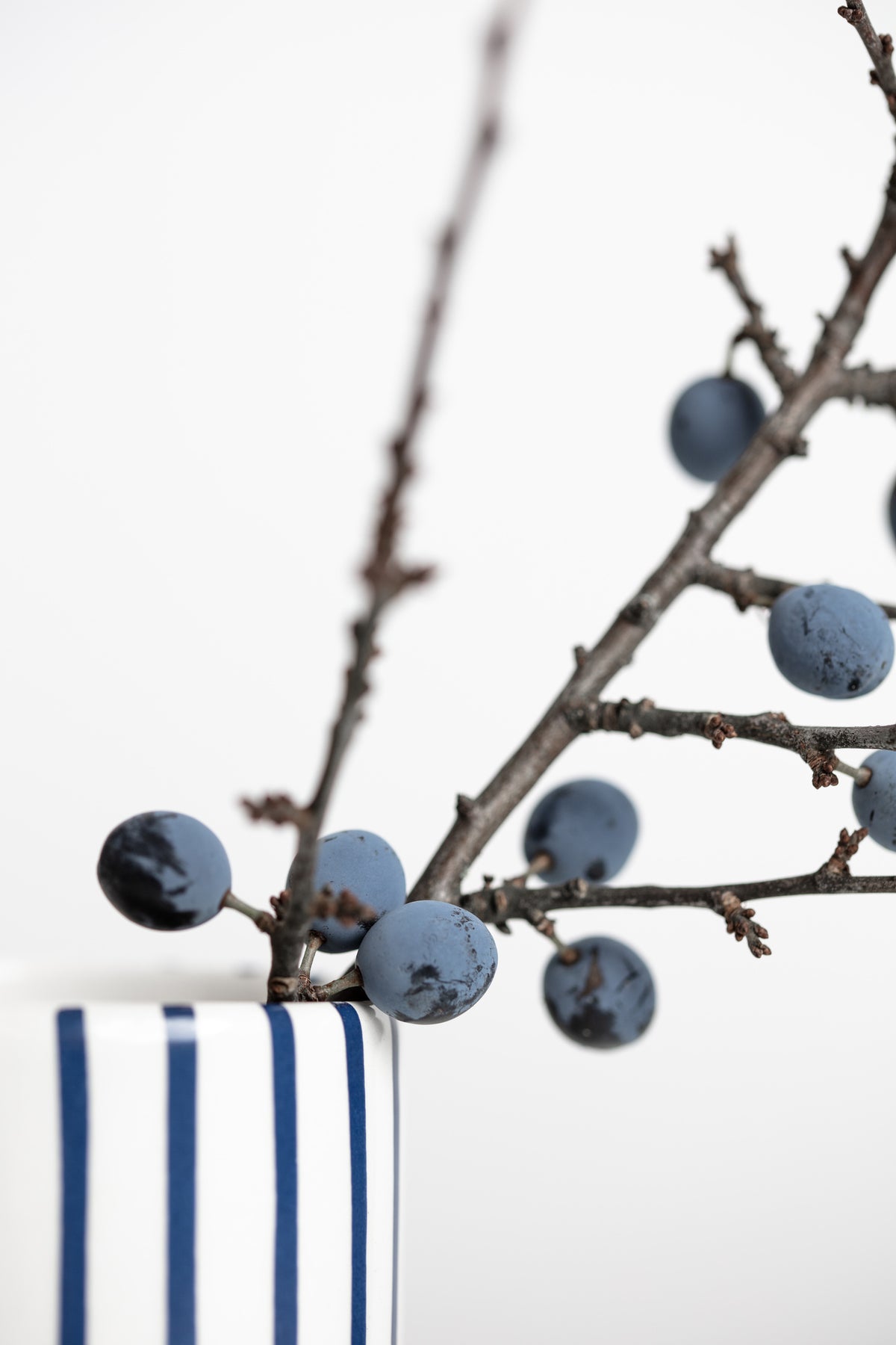 framedposter-print-berries-blue
