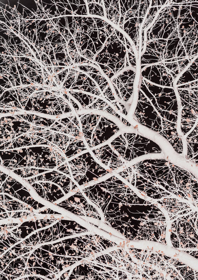 poster-print-tree-branches-2