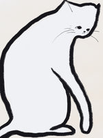 acrylic-print-white-cat