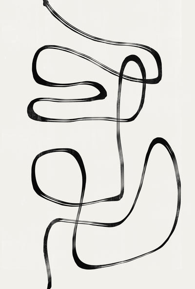 poster-print-infinite-curves