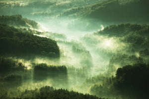 aluminium-print-over-the-woods