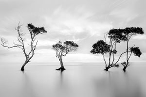 framedcanvas-print-drowning-not-waving
