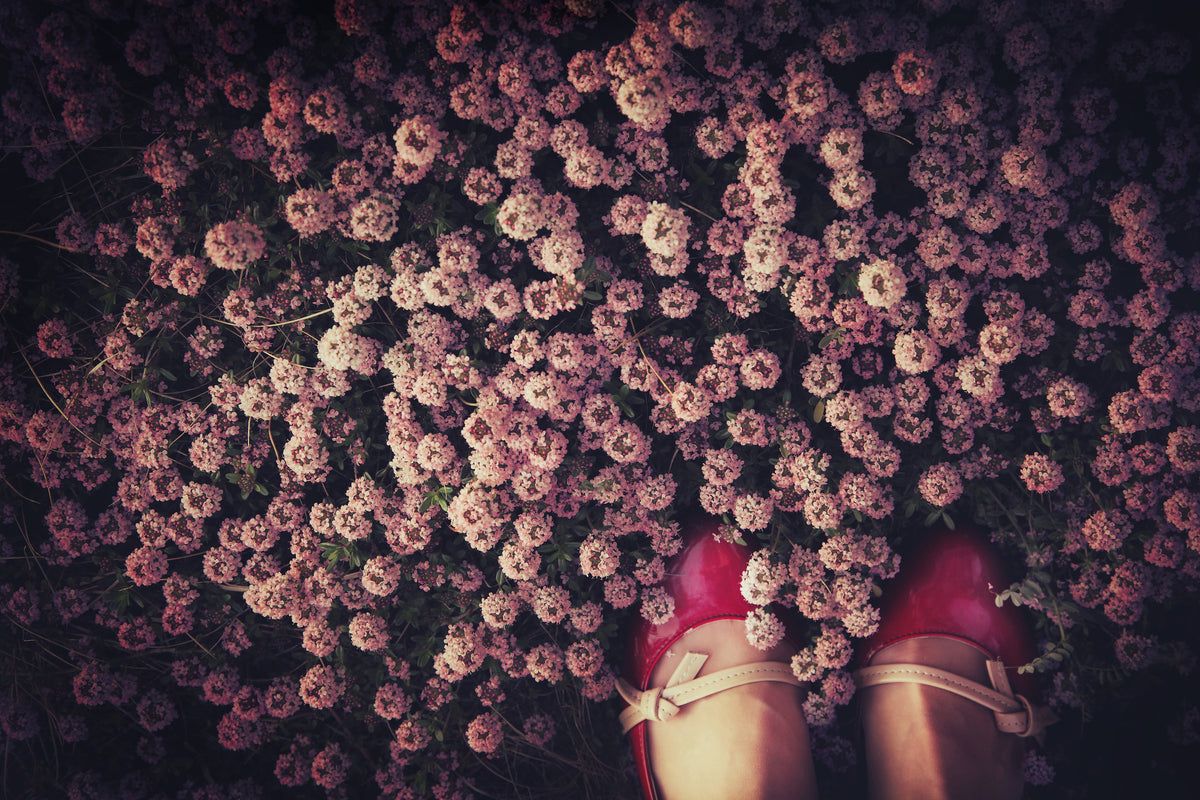 canvas-print-thyme-carpet-x