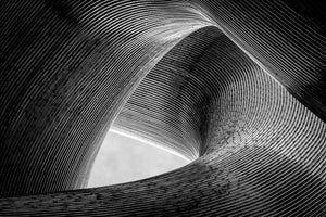 canvas-print-entwined-x