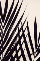 aluminium-print-guldpalm-black