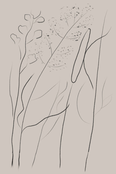 poster-print-modern-line-art-plant