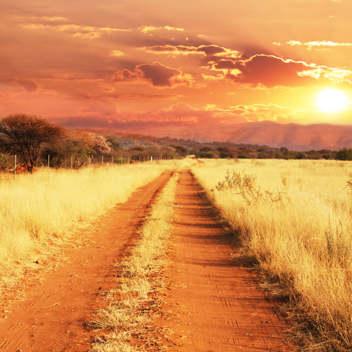 aluminium-print-dusk-in-kenya