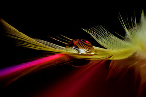 aluminium-print-colors-in-the-drop-x