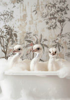 canvas-print-ostrich-bath-time-delight