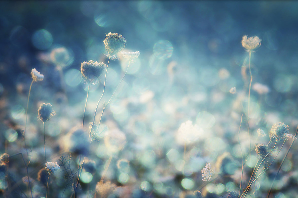framedcanvas-print-diamonds-x