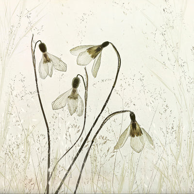 poster-print-springtime