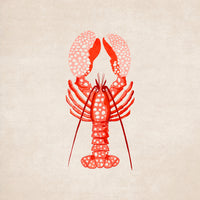 acrylic-print-spotted-lobster-elegance
