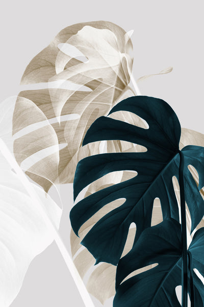 poster-print-monstera-creative-05
