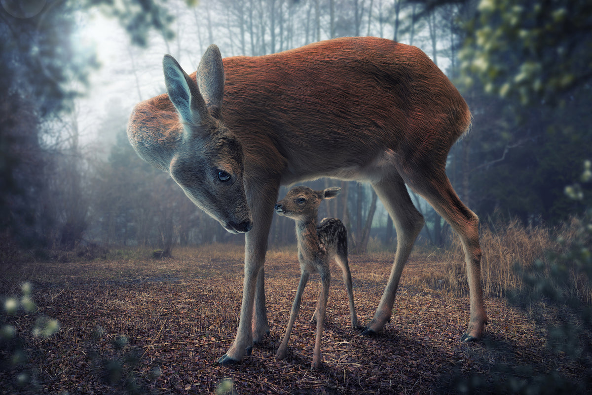 3-piece-aluminium-print-mother-and-fawn