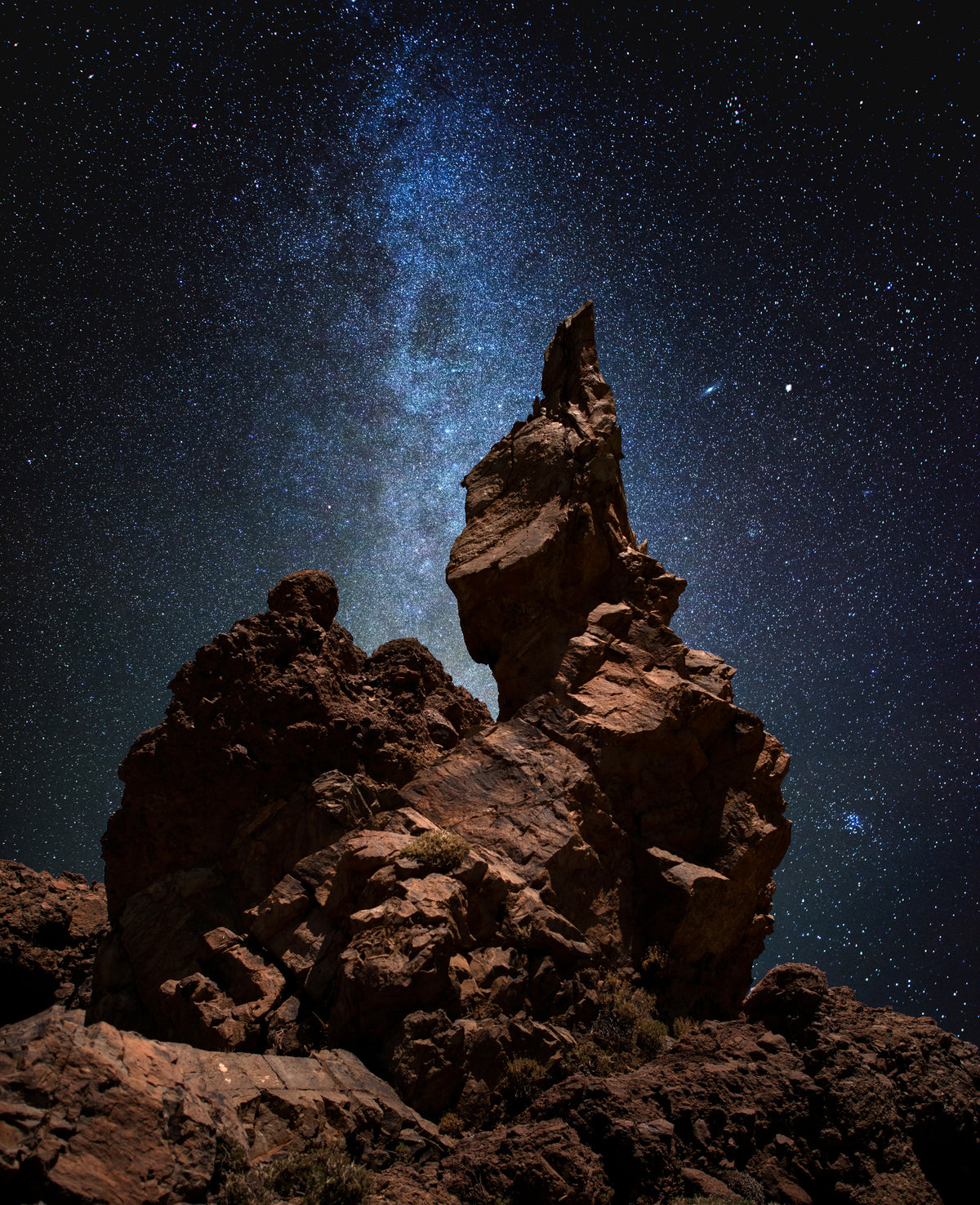 aluminium-print-guardian-of-the-night