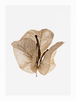 aluminium-print-gilded-pause
