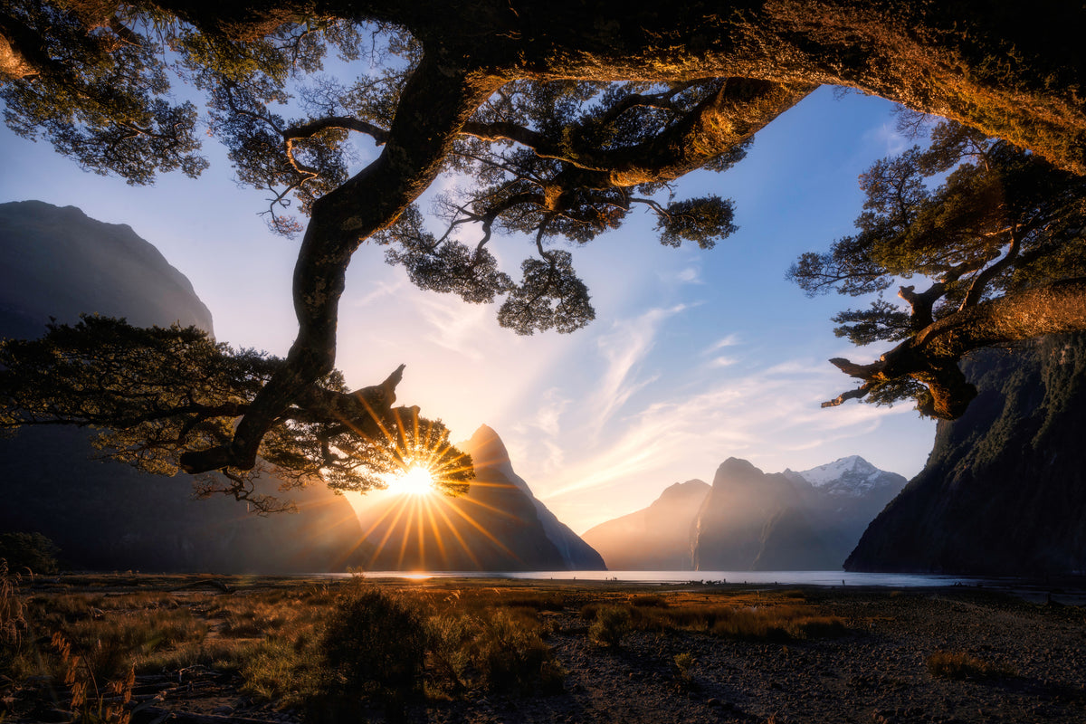canvas-print-sunny-day-in-milford-sound-x